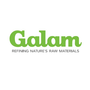 Galam (Israel)