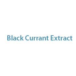 Black Currant Extract