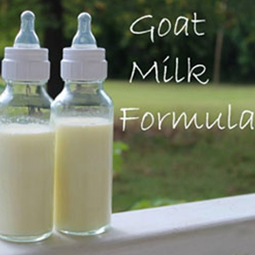 Goat Milk Powder